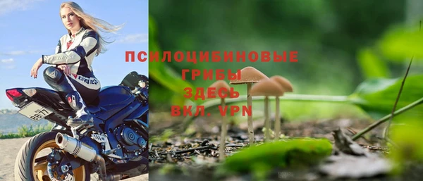 гидропоника Касимов