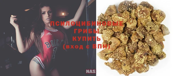 тгк Карпинск