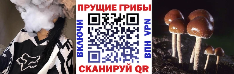 Галлюциногенные грибы Magic Shrooms  Купить  Бодайбо 