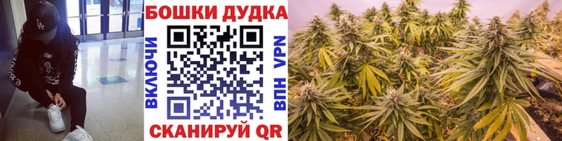 Купить где  Бодайбо  Шишки марихуана Amnesia 
